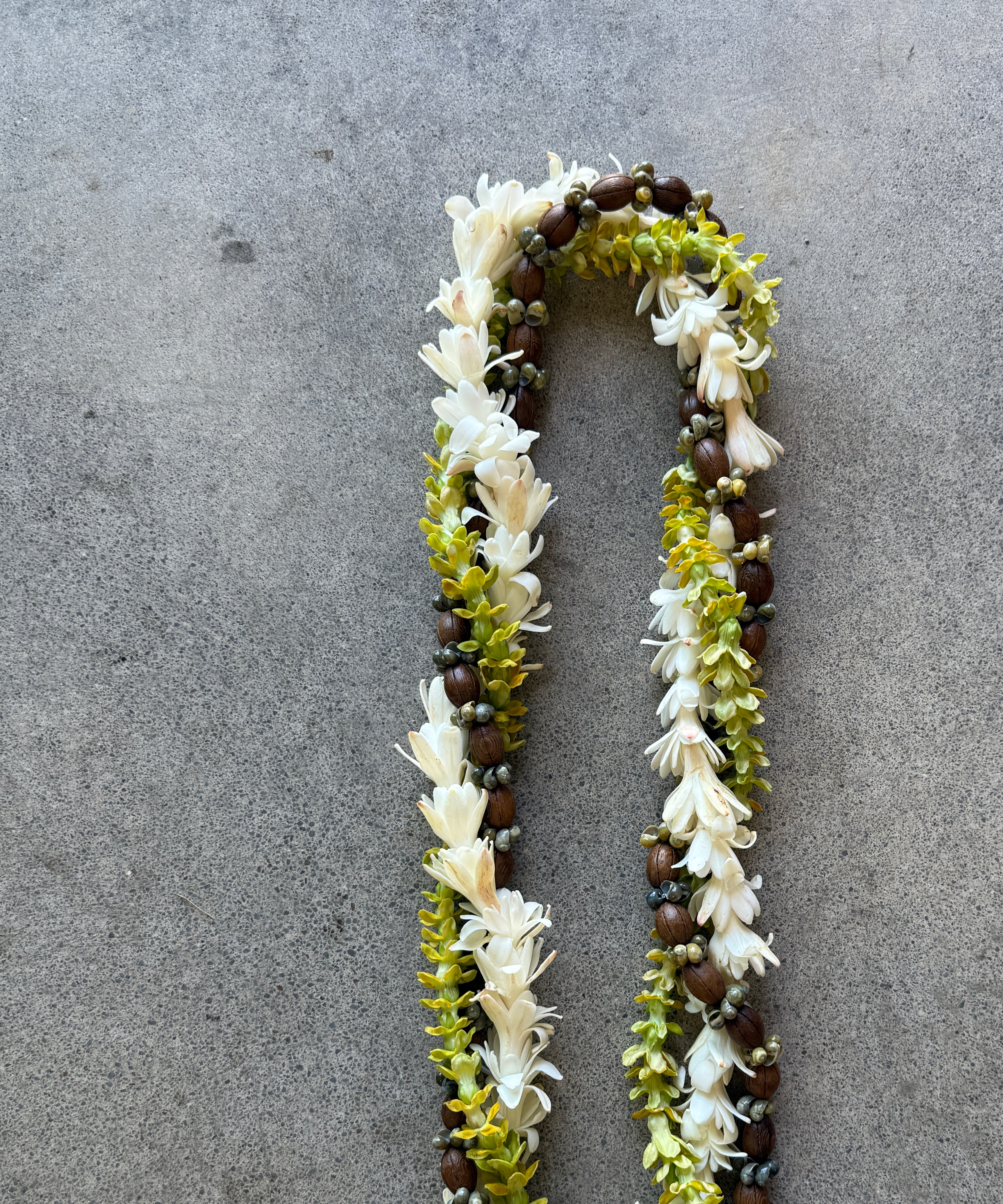 Groom - 3-Strand Twist (white, green, brown)