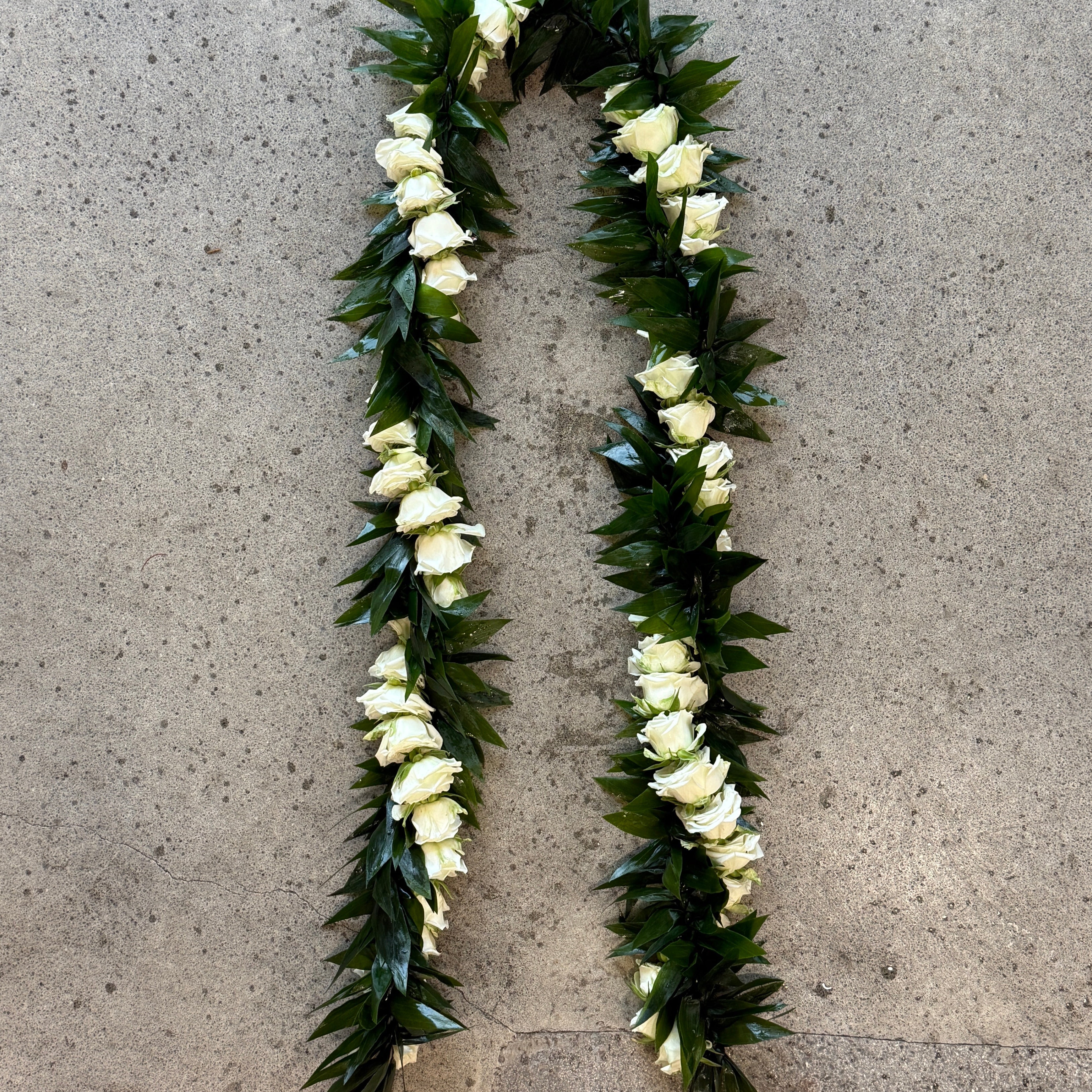 Groom - Maile-Style Ti Twist (white roses)