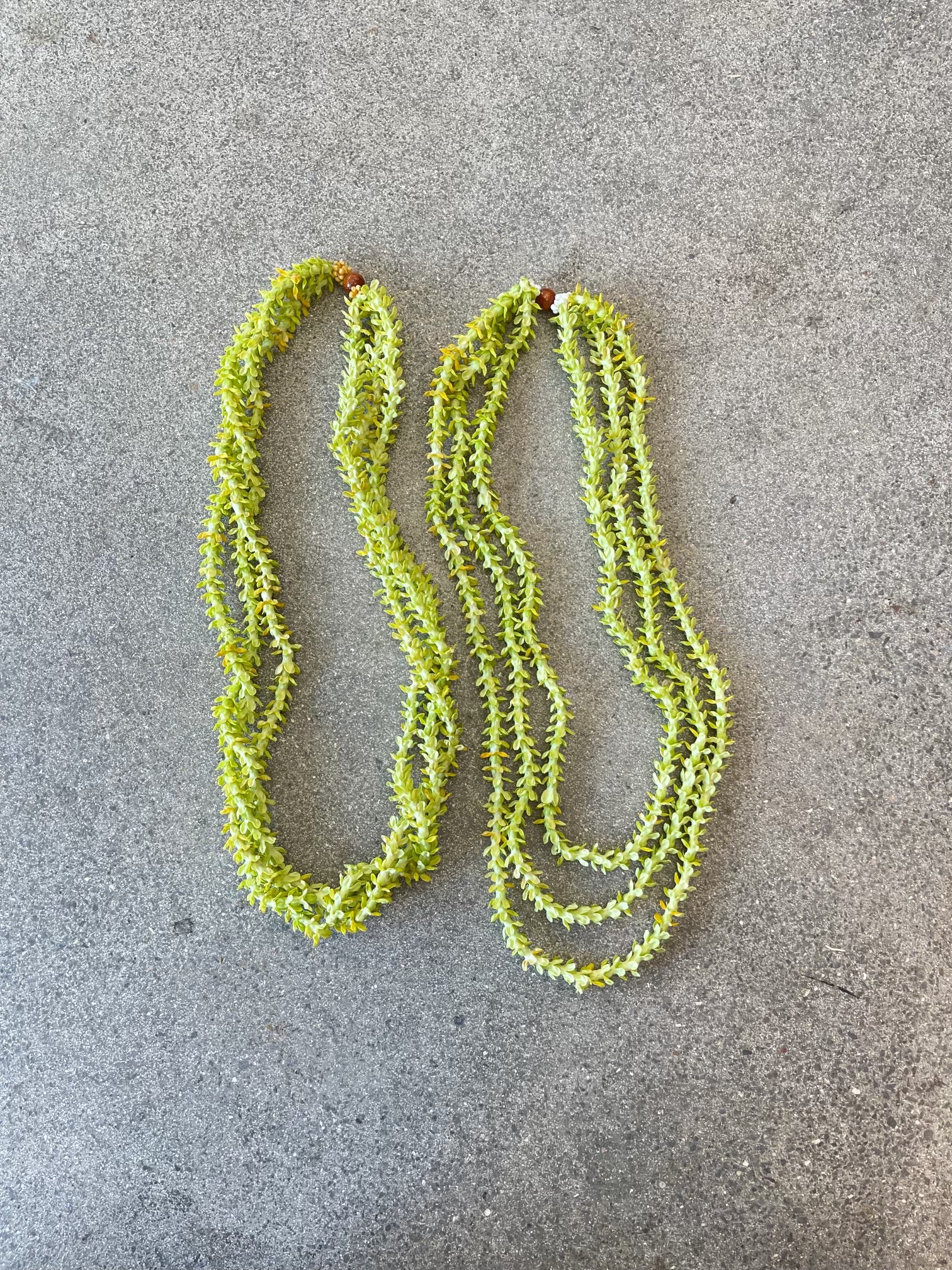 Order Women’s Lei