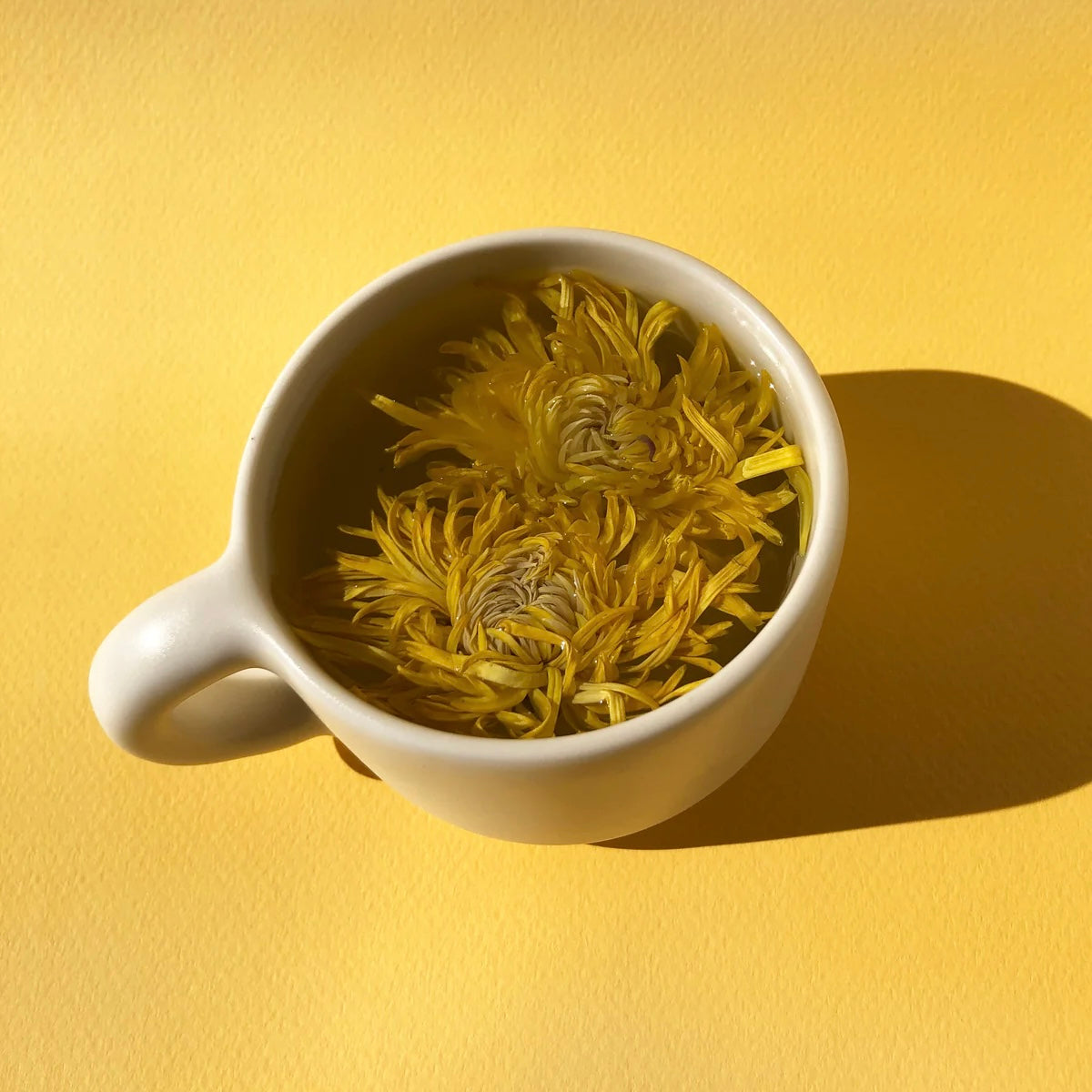 Floral Tea Tasting Sampler