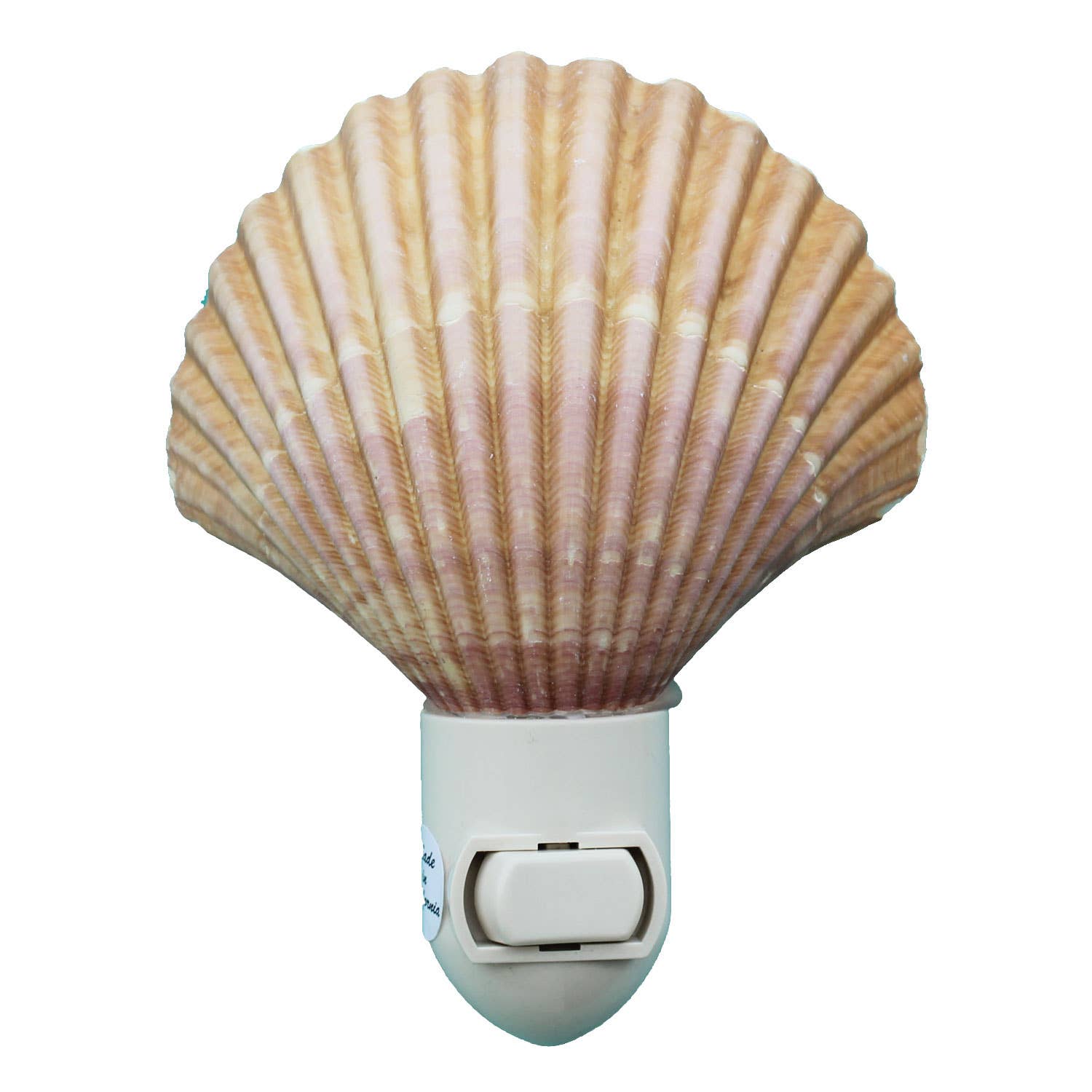 California Seashell Company - Yellow Cup Seashell Night Light