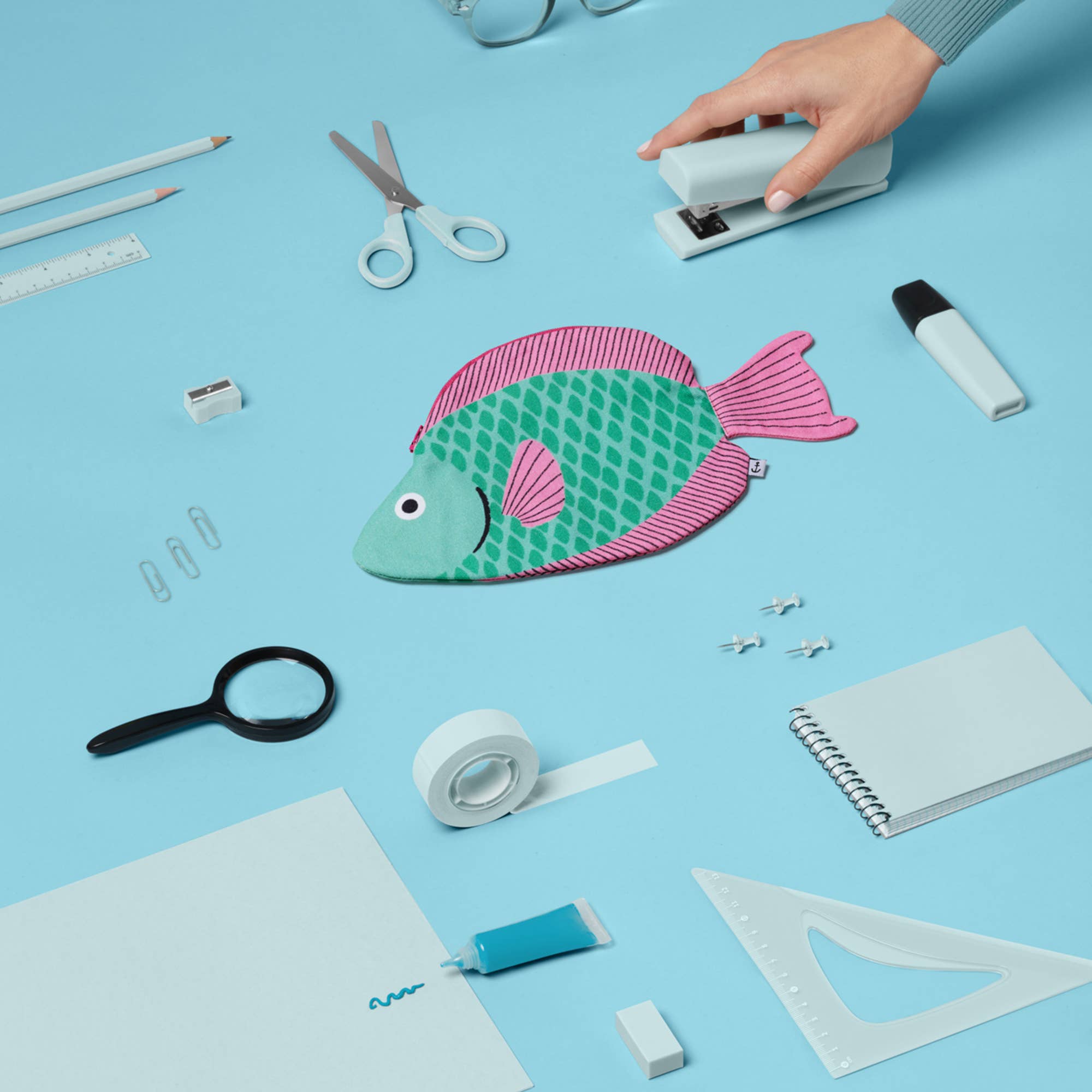 Parrotfish case