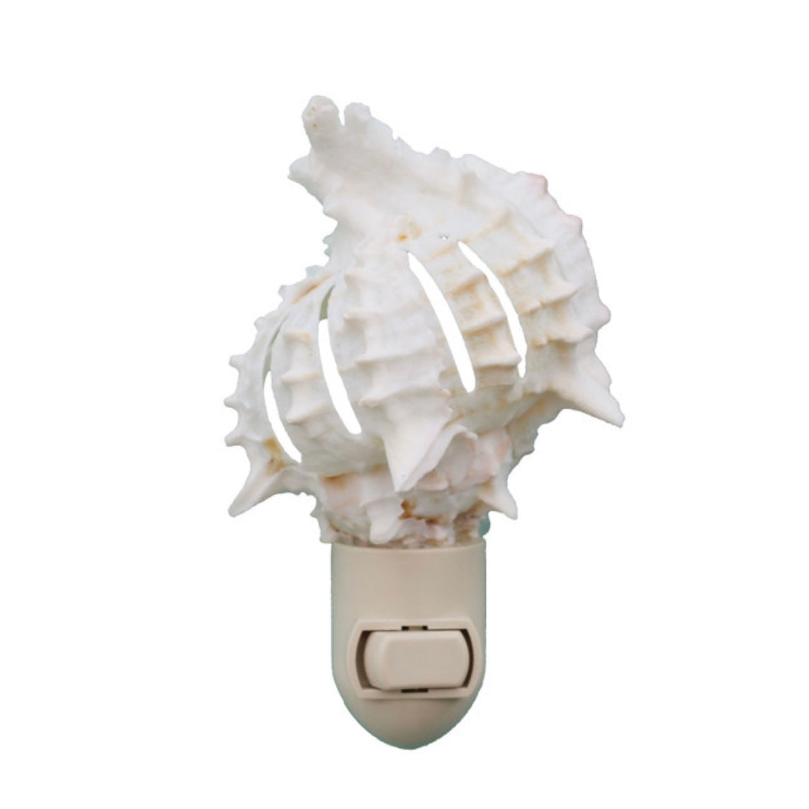 Shell Night Light