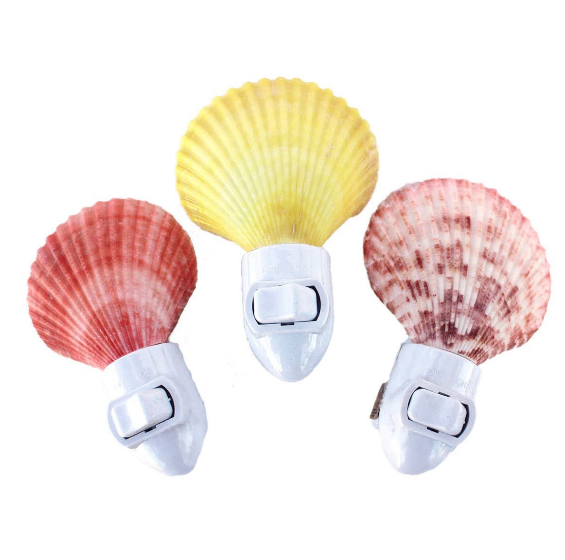 Shell Night Light