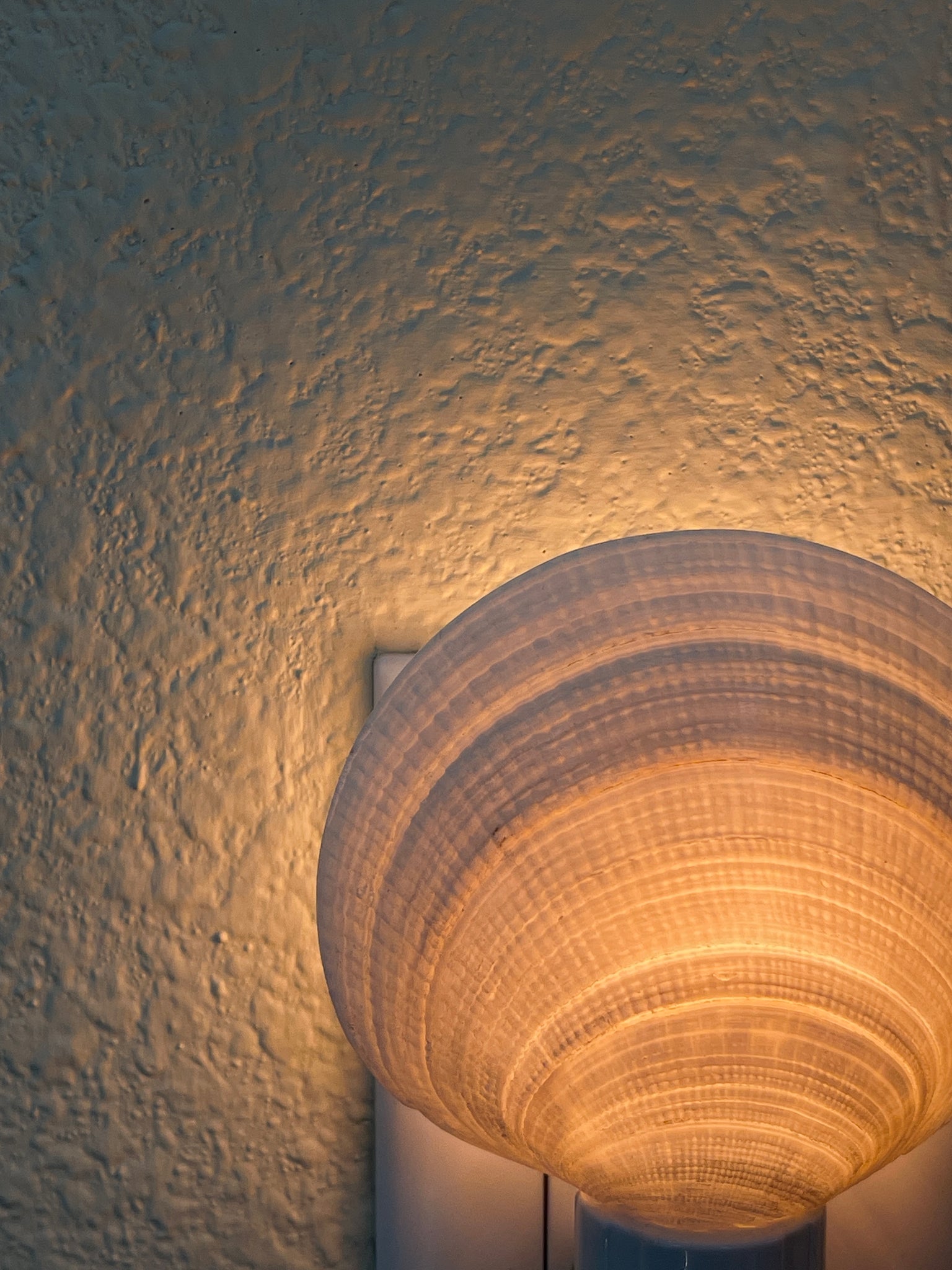 Natural Shell Night Light