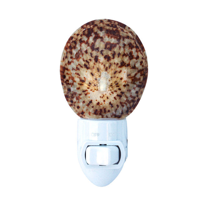 Shell Night Light