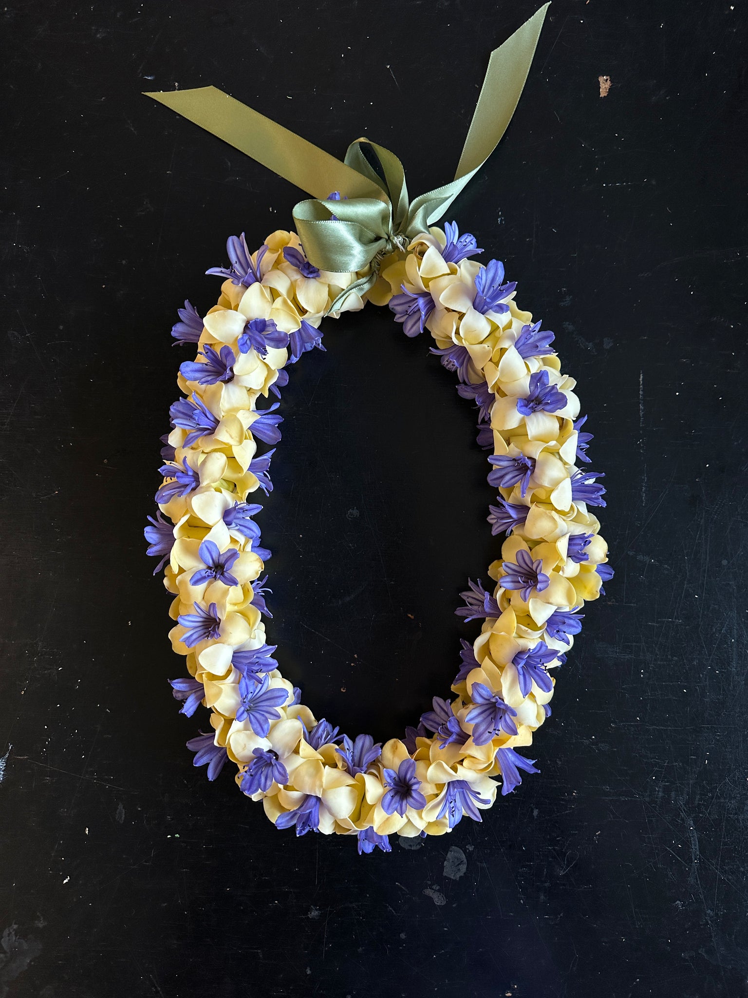 Wisconsin Lei Order Women’s Lei – ISLAND-BOY