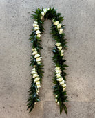 Groom - Maile-Style Ti Twist (white roses)