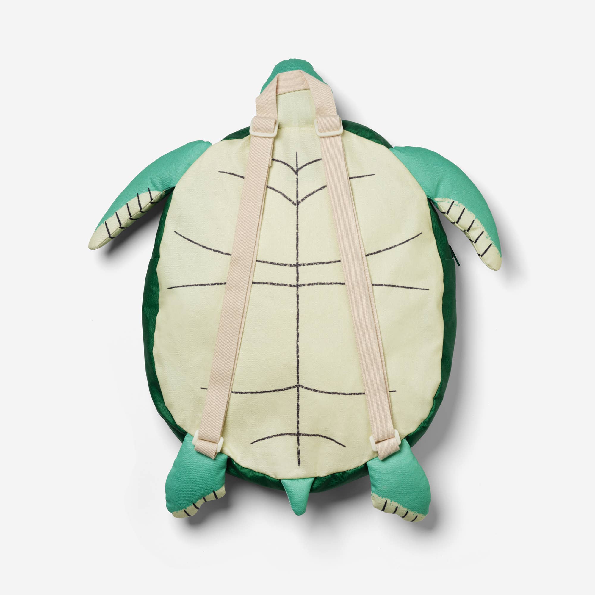 Don Fisher - Turtle backpack for kid